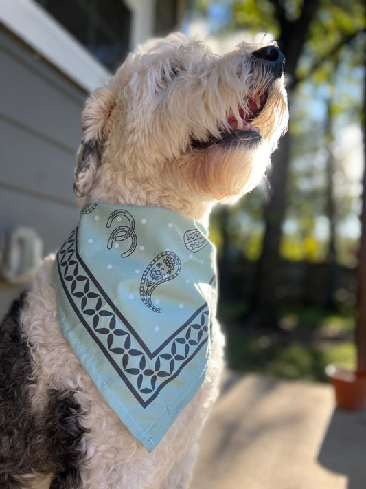 Oh Doggy Bandana
