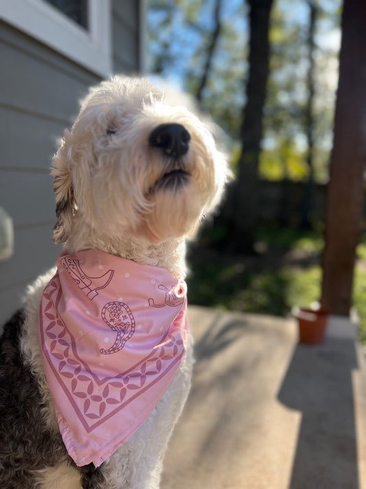 Oh Doggy Bandana
